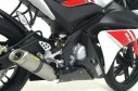 YZF-R 125, 08-11